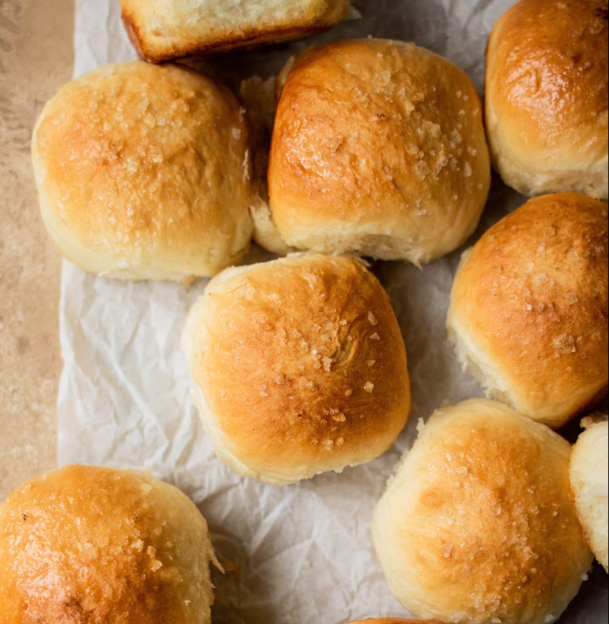 Fluffy Dinner Rolls